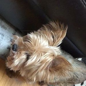 Meet your Posher, Jeff